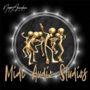 Avatar of user midi_audio