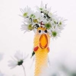 Avatar of user nguy_n_th_duy_n