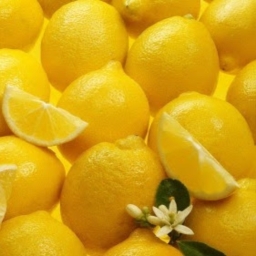 Avatar of user uglysadbutradlemoncake_gmail_com