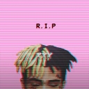 Avatar of user oritzgodinez_gmail_com