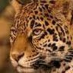 Avatar of user hudsonnunn4_gmail_com