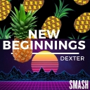 Cover of album New Beginnings by Dext3r