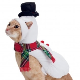 Avatar of user snowmancat100_gmail_com