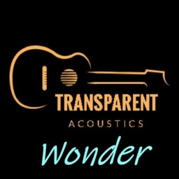 Cover of track Wonder by Transparent Acoustics