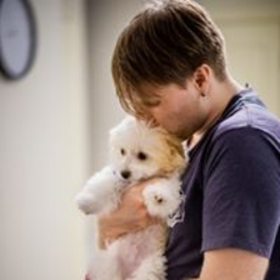 Avatar of user ViperXera