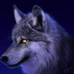 Avatar of user nightwolf101