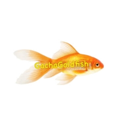 Avatar of user gachagoldfish_gmail_com
