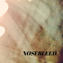 Cover of track NOSEBLEED by it's embr