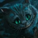 Avatar of user Turtle0404