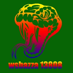 Avatar of user wsbazza13808_gmail_com