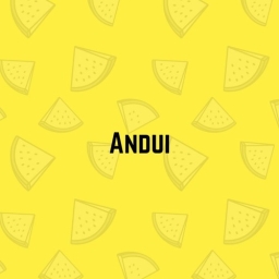 Avatar of user Andui