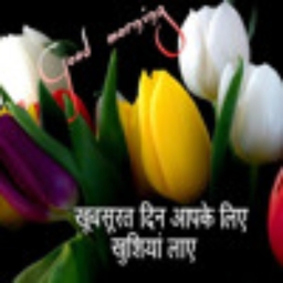 Avatar of user teju_sagar