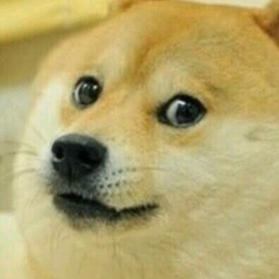 Avatar of user jaaktoob_gmail_com