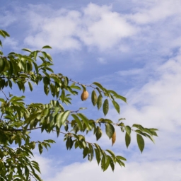 Avatar of user jaybird9122_gmail_com