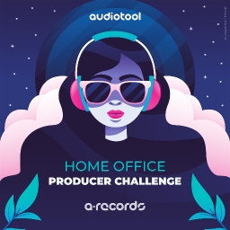 Cover of album HO - Producer Challenge Entries  by a-records
