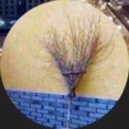 Avatar of user ahmedfator