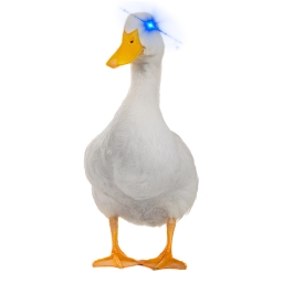 Avatar of user DuckSongs