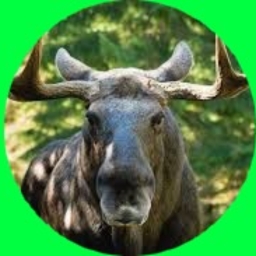 Avatar of user Caribou76