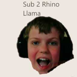Avatar of user RhinoLlama