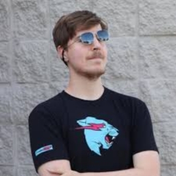 Avatar of user Mr Beast