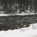 Avatar of user Typicalgamer227