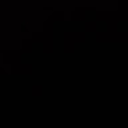 Avatar of user sasyborrelli