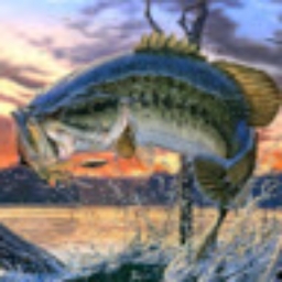 Avatar of user 464719_mcpsmd_net