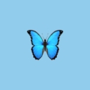 Avatar of user BluexButterfly