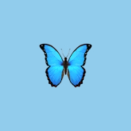 Avatar of user BluexButterfly